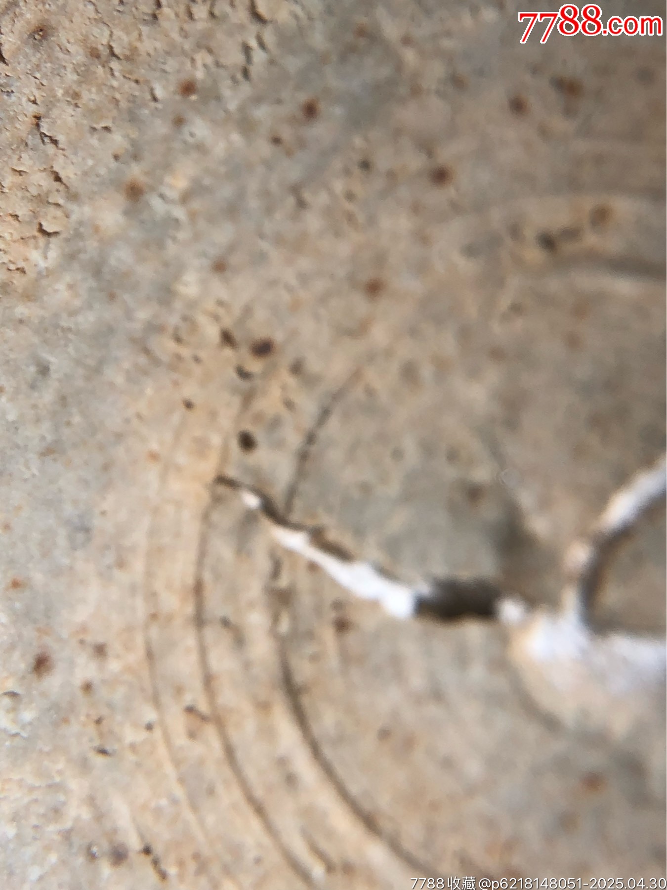 元金時(shí)期厚重烏金釉酒盞_價(jià)格825元_第18張_7788收藏__收藏?zé)峋€