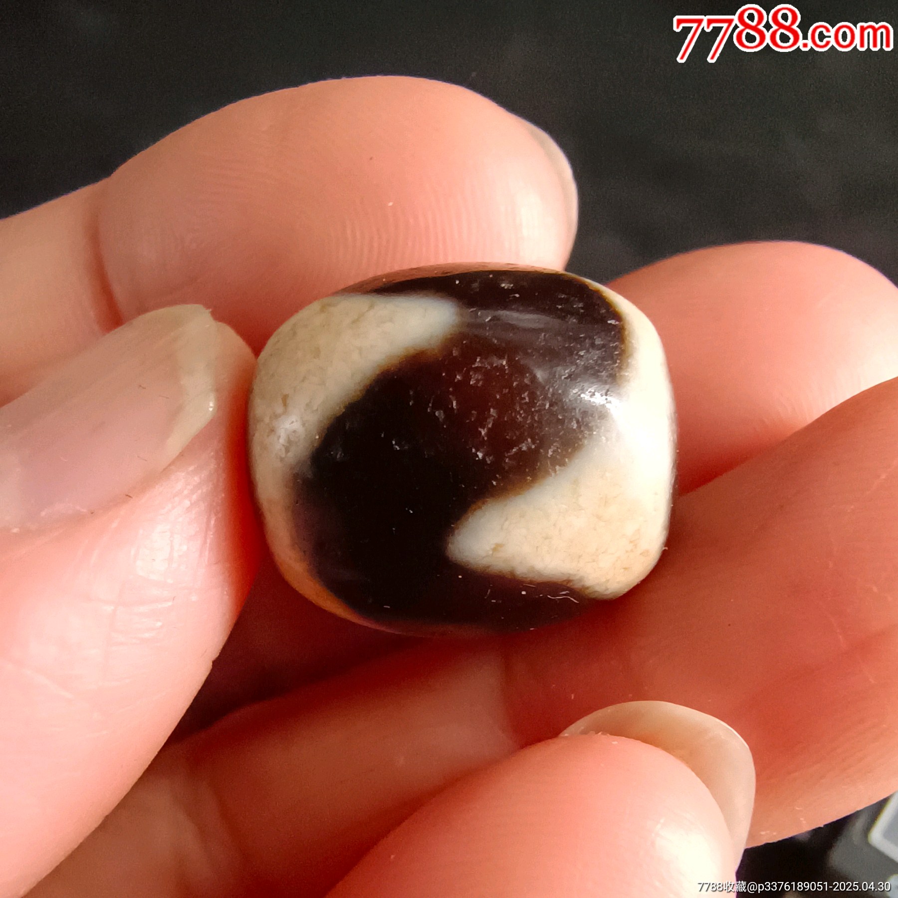 精品小虎牙达洛天珠-天珠-7788旧书网