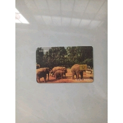 昆明市公園年卡。。。昆明動物園(se106438852)_大可堂書店