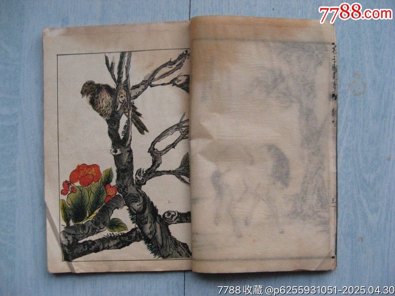 4414芥子園畫(huà)傳（三、六）_價(jià)格1200元【遼南博雅齋】_第9張_7788收藏__收藏?zé)峋€