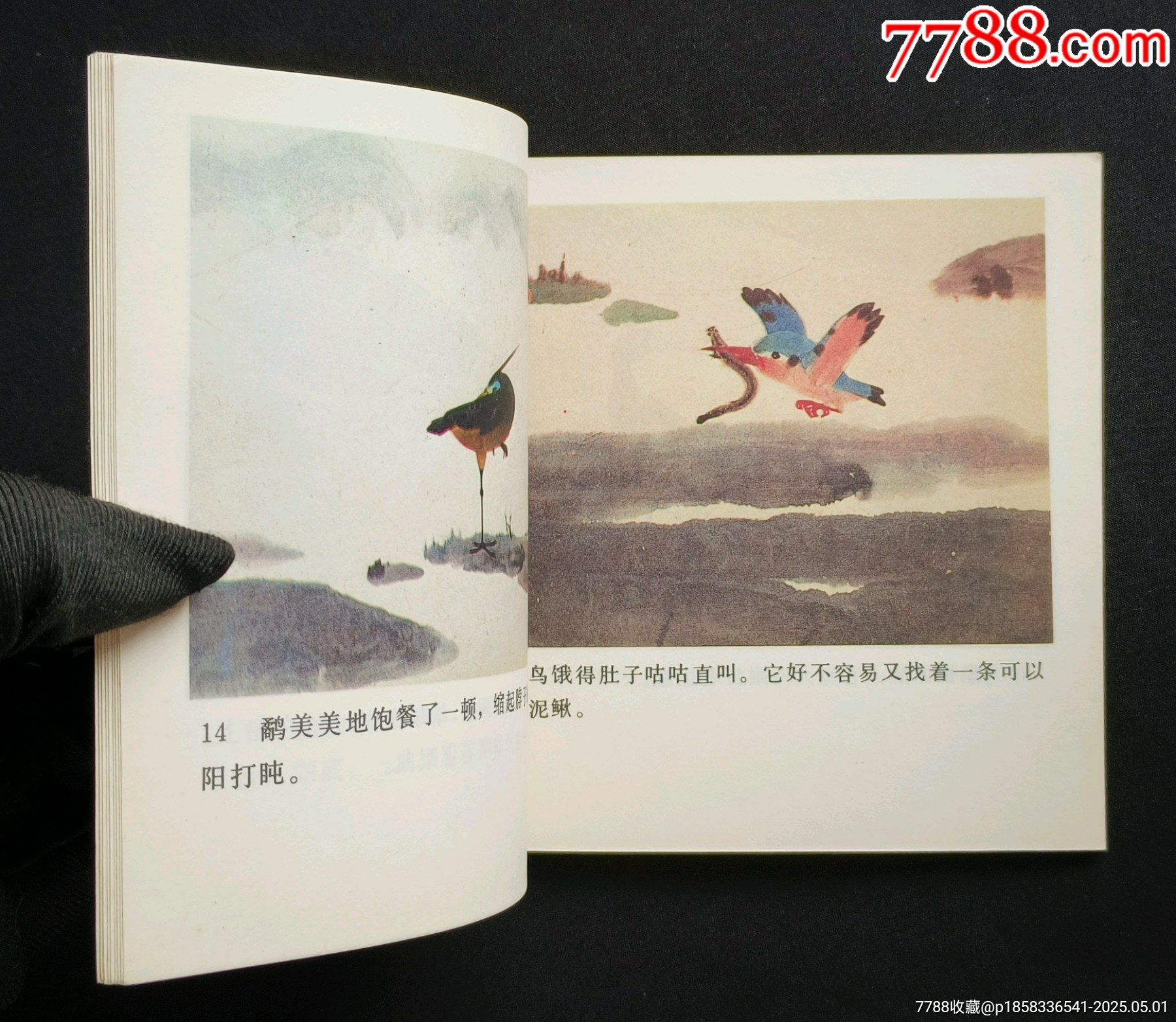 鷸蚌相爭（老電影~48開彩色動(dòng)畫片）85年中電版_價(jià)格288元_第7張_7788收藏__收藏?zé)峋€