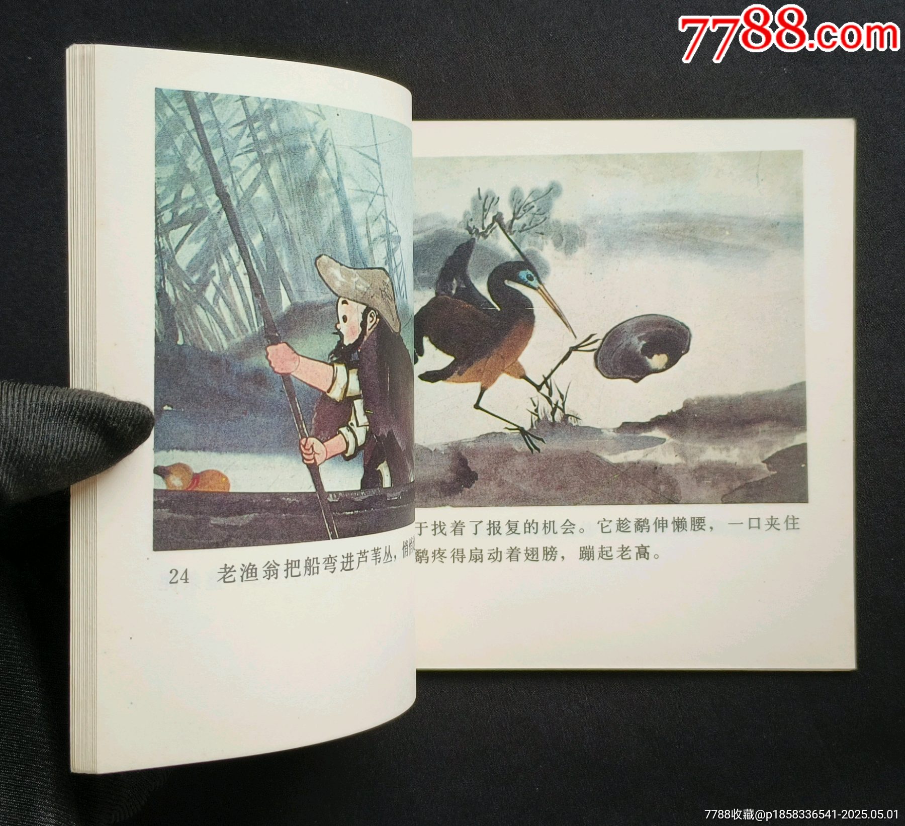 鷸蚌相爭（老電影~48開彩色動(dòng)畫片）85年中電版_價(jià)格288元_第8張_7788收藏__收藏?zé)峋€