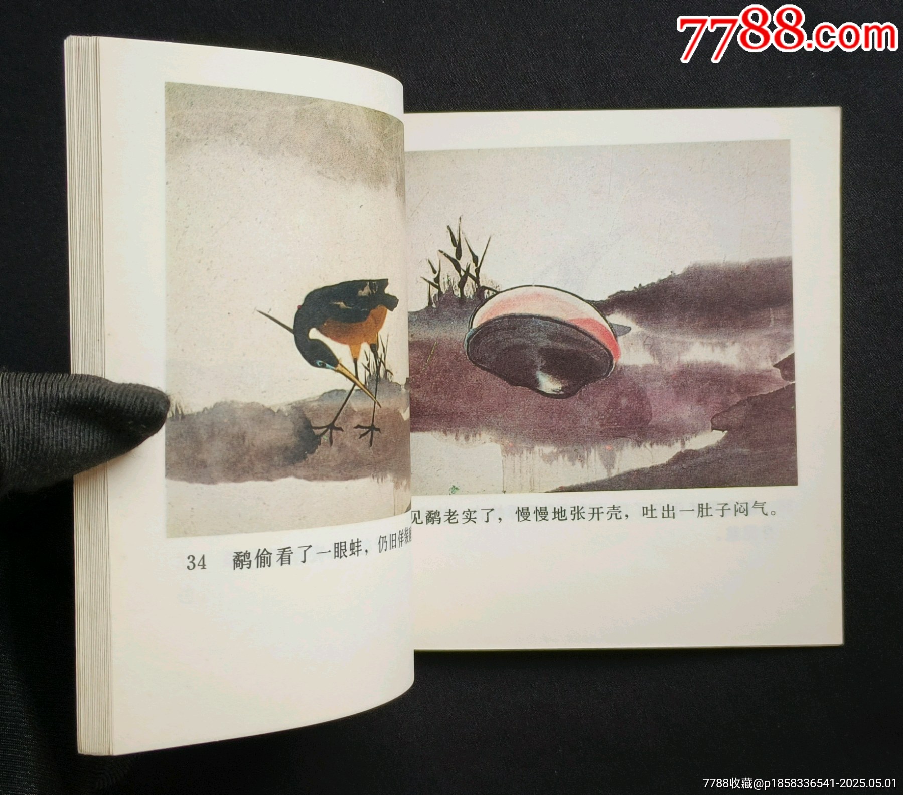 鷸蚌相爭（老電影~48開彩色動(dòng)畫片）85年中電版_價(jià)格288元_第9張_7788收藏__收藏?zé)峋€