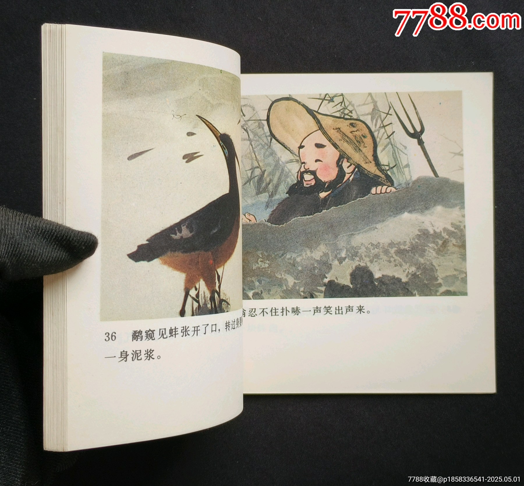 鷸蚌相爭（老電影~48開彩色動(dòng)畫片）85年中電版_價(jià)格288元_第10張_7788收藏__收藏?zé)峋€