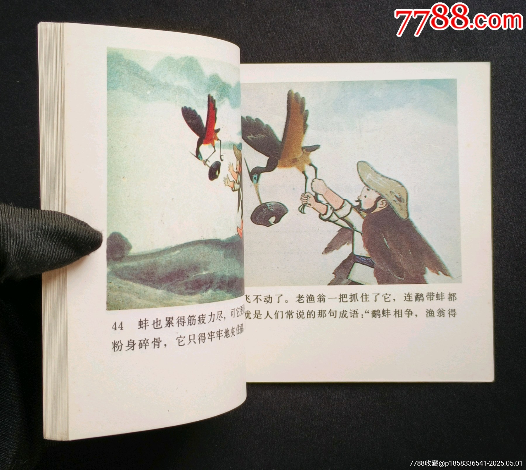 鷸蚌相爭（老電影~48開彩色動(dòng)畫片）85年中電版_價(jià)格288元_第12張_7788收藏__收藏?zé)峋€