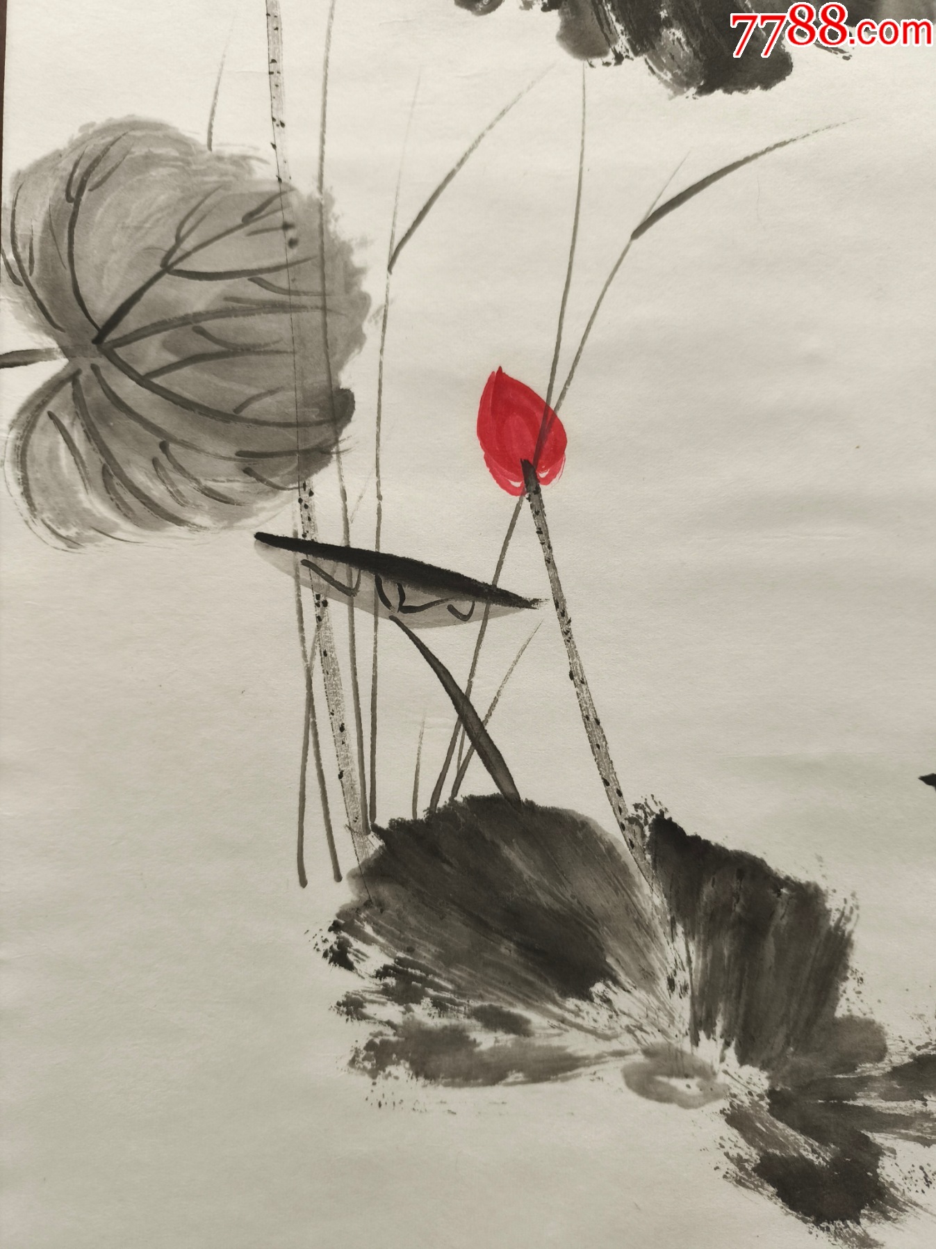 2547號卷軸國畫寫意花鳥玉蘭鸚鵡觀望圖畫心66×34cm作者：李燕_價格19800元【呈祥書畫苑】_第4張_7788收藏__收藏?zé)峋€