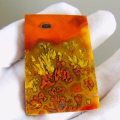 25C21J0002色彩斑斕的戰(zhàn)國紅金水草圖案長方牌_遼南博雅齋