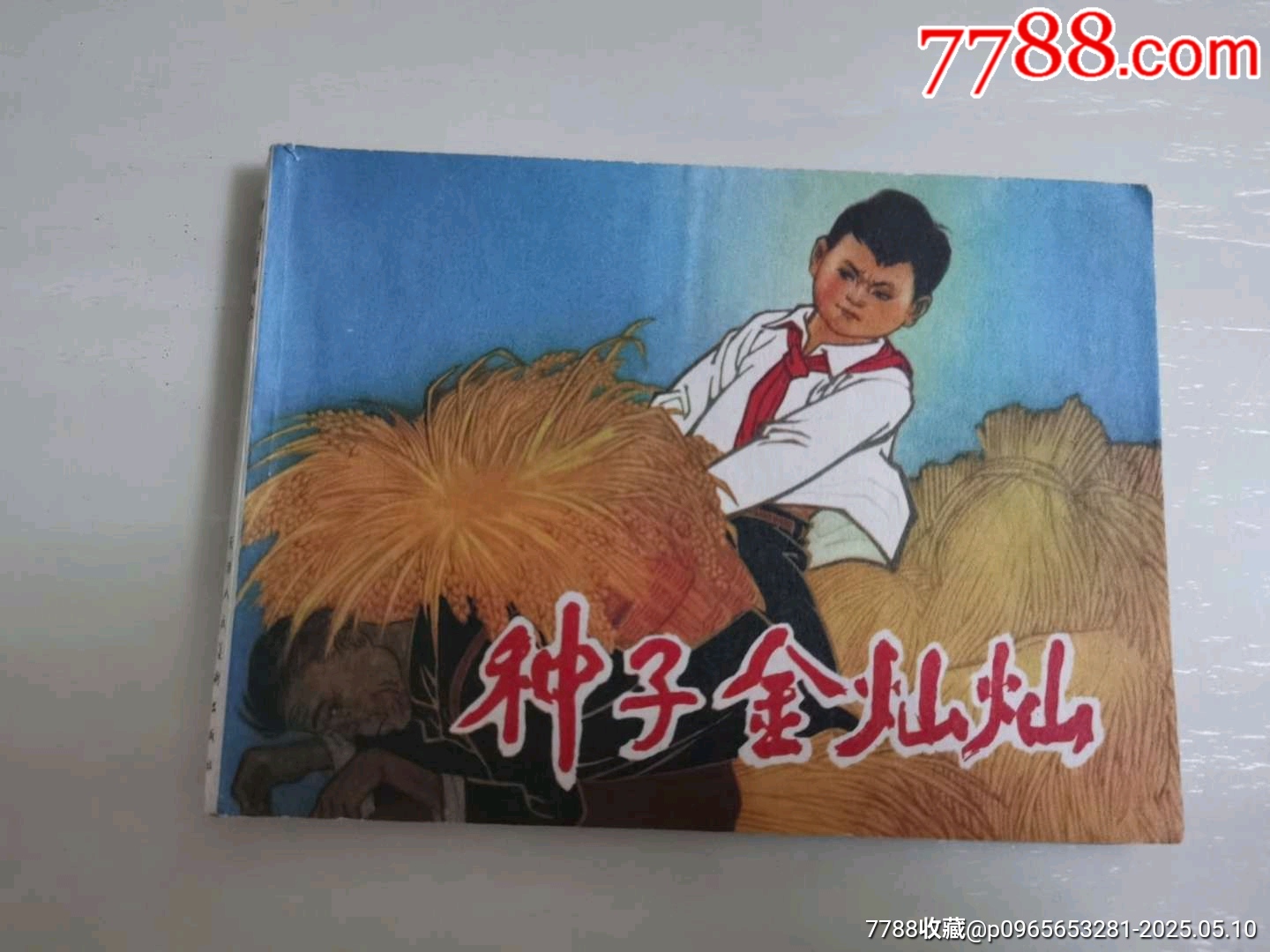 種子金燦燦_價(jià)格66元_第1張_7788收藏__收藏?zé)峋€