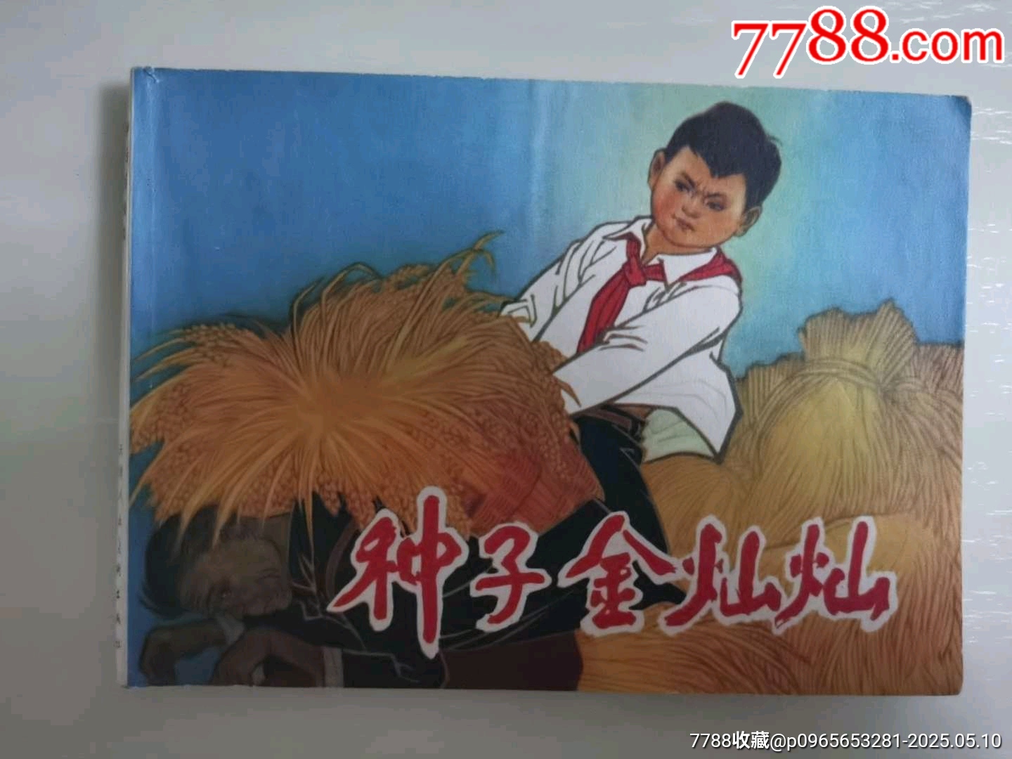 種子金燦燦_價(jià)格66元_第2張_7788收藏__收藏?zé)峋€