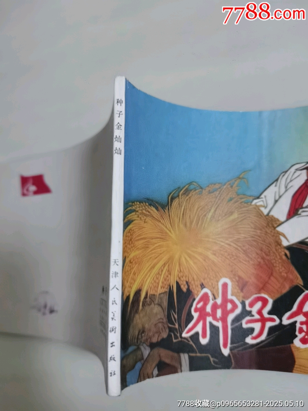 種子金燦燦_價(jià)格66元_第4張_7788收藏__收藏?zé)峋€