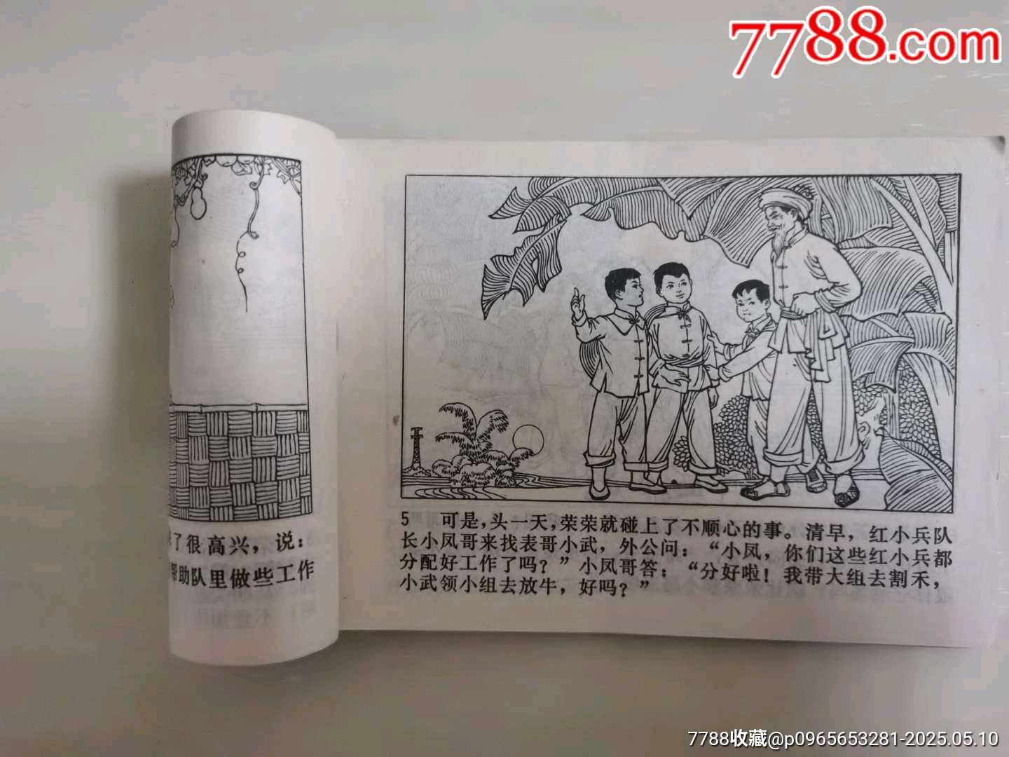 種子金燦燦_價(jià)格66元_第6張_7788收藏__收藏?zé)峋€