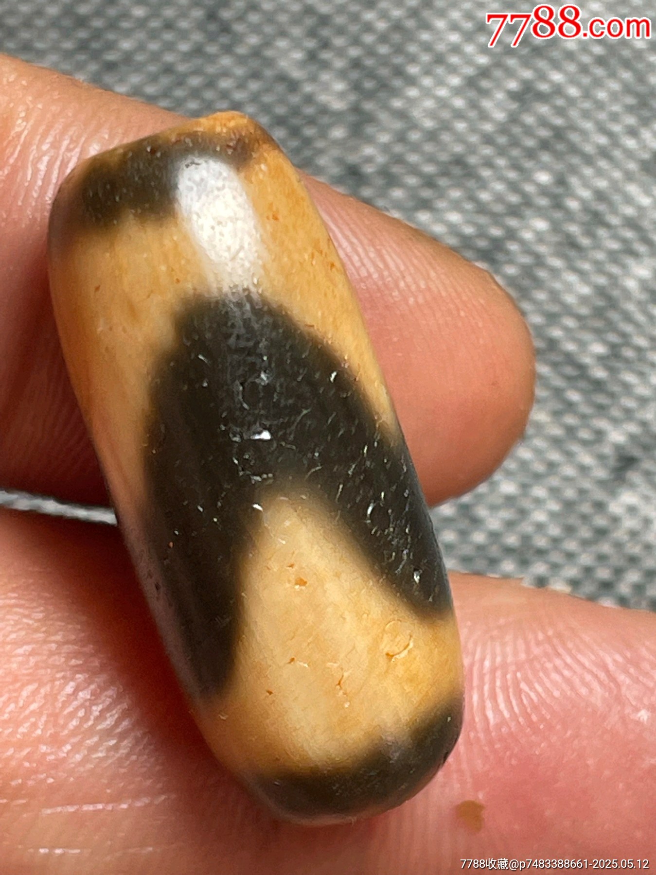 藏传牙黄虎牙天珠-天珠-7788红宝书