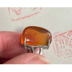 琥珀蟲珀戒指(se106631848)_遼南博雅齋