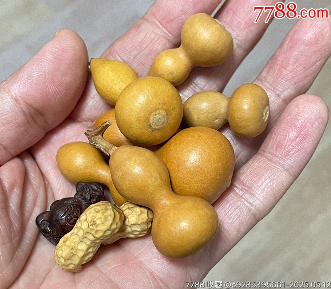小葫蘆花生紫檀小吊墜_價(jià)格200元【遼南博雅齋】_第7張_7788收藏__收藏?zé)峋€