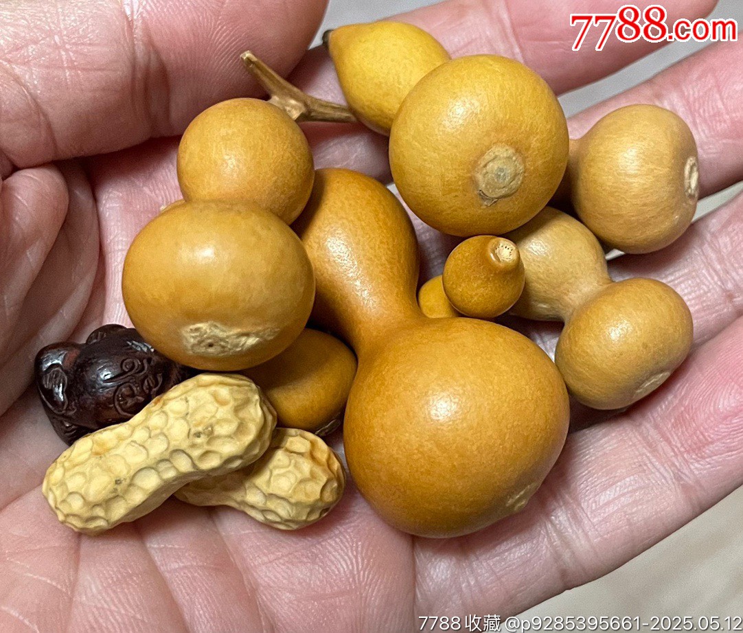 小葫蘆花生紫檀小吊墜_價(jià)格200元【遼南博雅齋】_第8張_7788收藏__收藏?zé)峋€