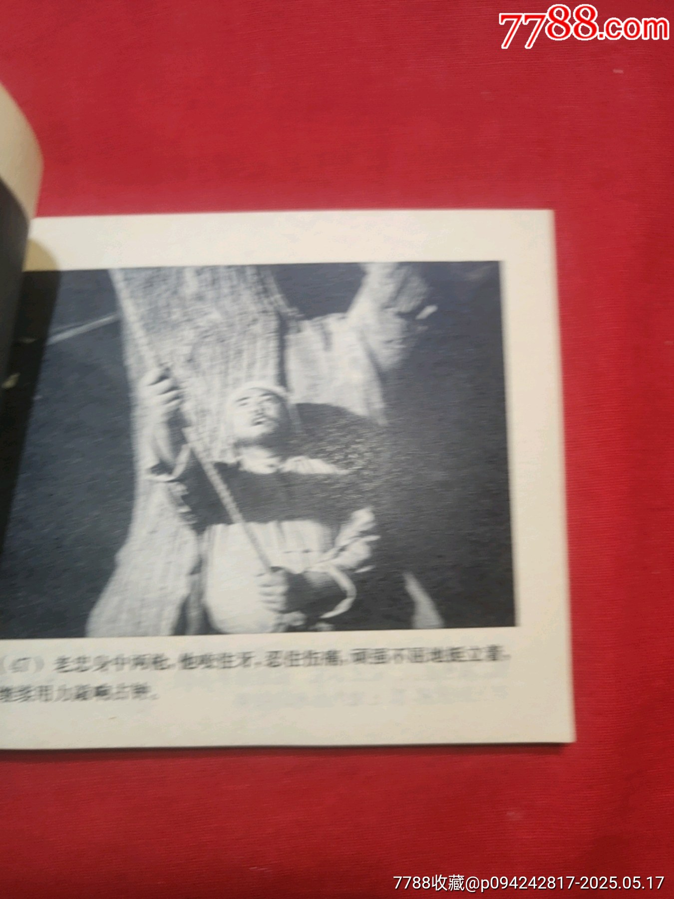 地道戰(zhàn)_價(jià)格120元【浪浪書屋】_第19張_7788收藏__收藏?zé)峋€