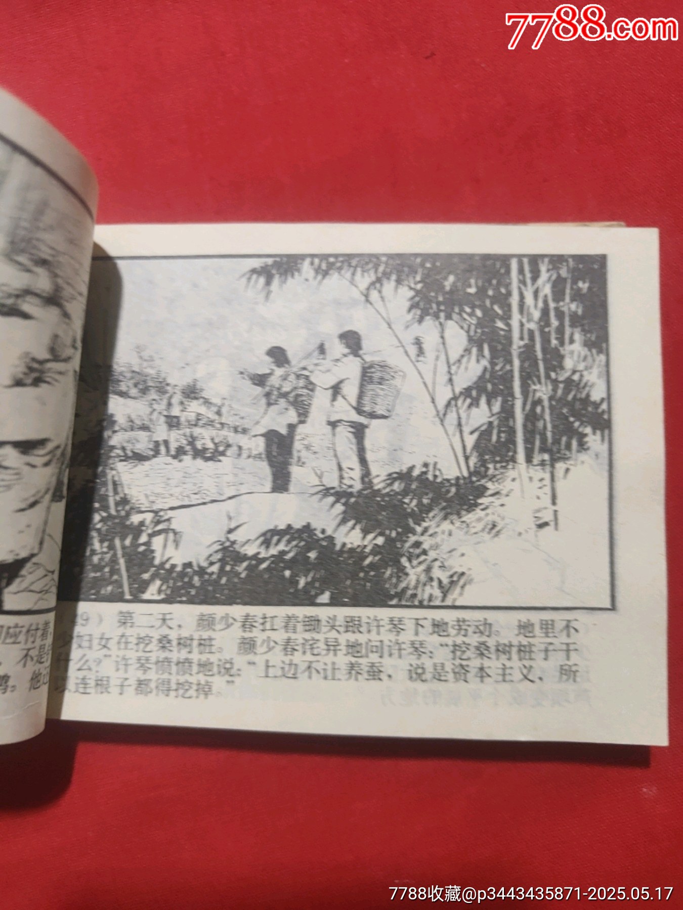 許茂和他的女兒們（上下）_價(jià)格480元【浪浪書屋】_第12張_7788收藏__收藏?zé)峋€