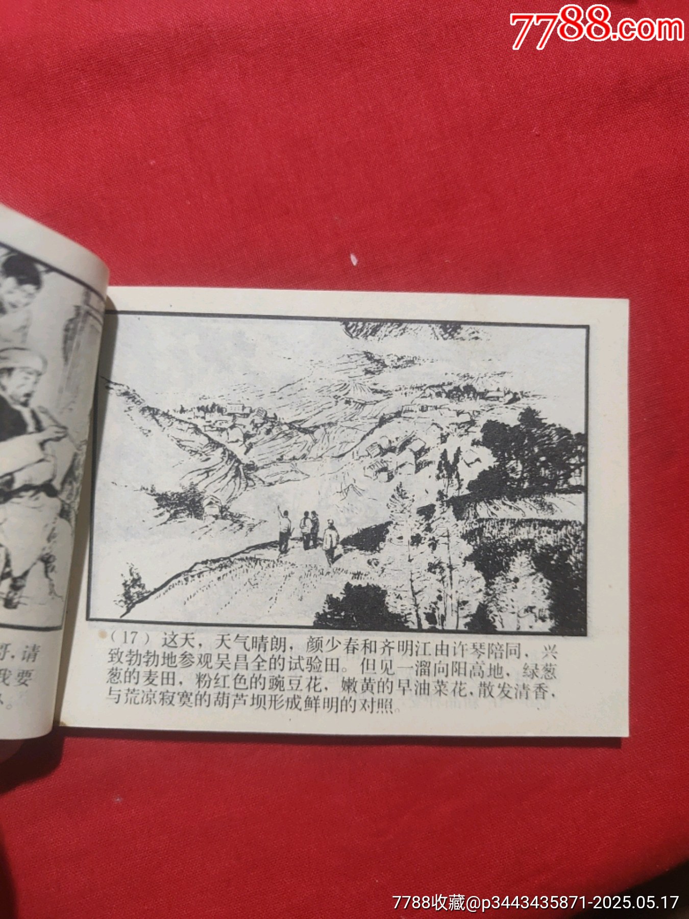 許茂和他的女兒們（上下）_價(jià)格480元【浪浪書屋】_第22張_7788收藏__收藏?zé)峋€