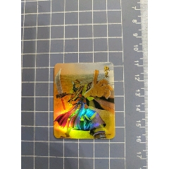 時(shí)空魔幻卡三國(guó)群英顏良(塑閃)(se106713485)_西門(mén)收藏品書(shū)店