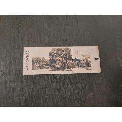 杭州西湖柳浪聞鶯(se106715284)_風雅書亭