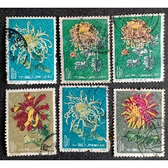 特44.菊花(信銷)一差品合售_安居收藏店