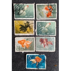 特38.金魚(信銷)一差品合售_安居收藏店