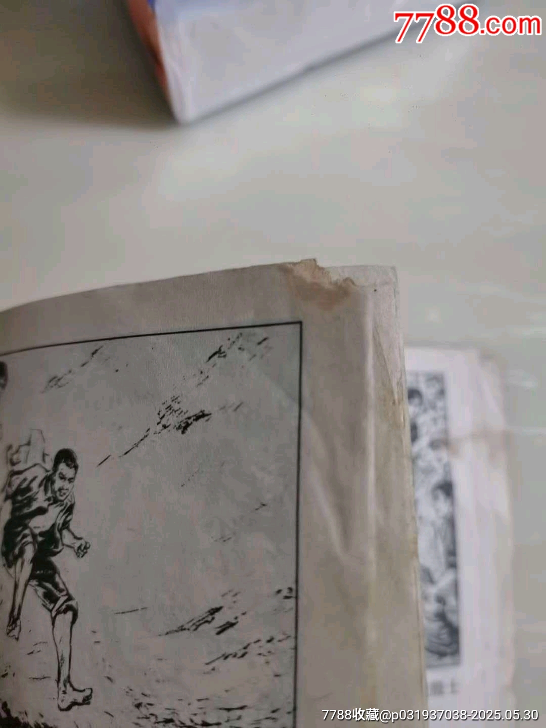 青春火花_價(jià)格13元_第7張_7788收藏__收藏?zé)峋€