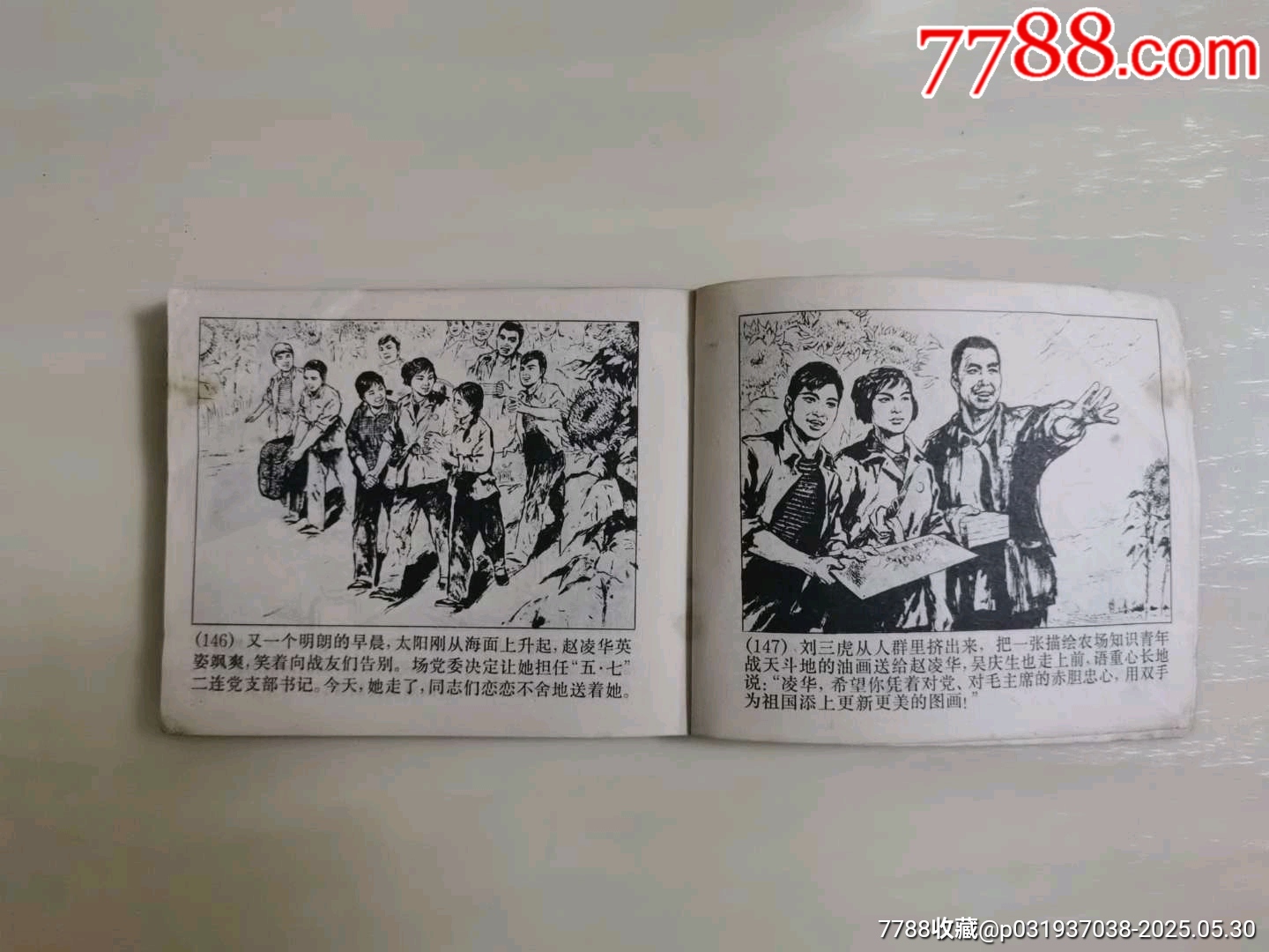 青春火花_價(jià)格13元_第8張_7788收藏__收藏?zé)峋€