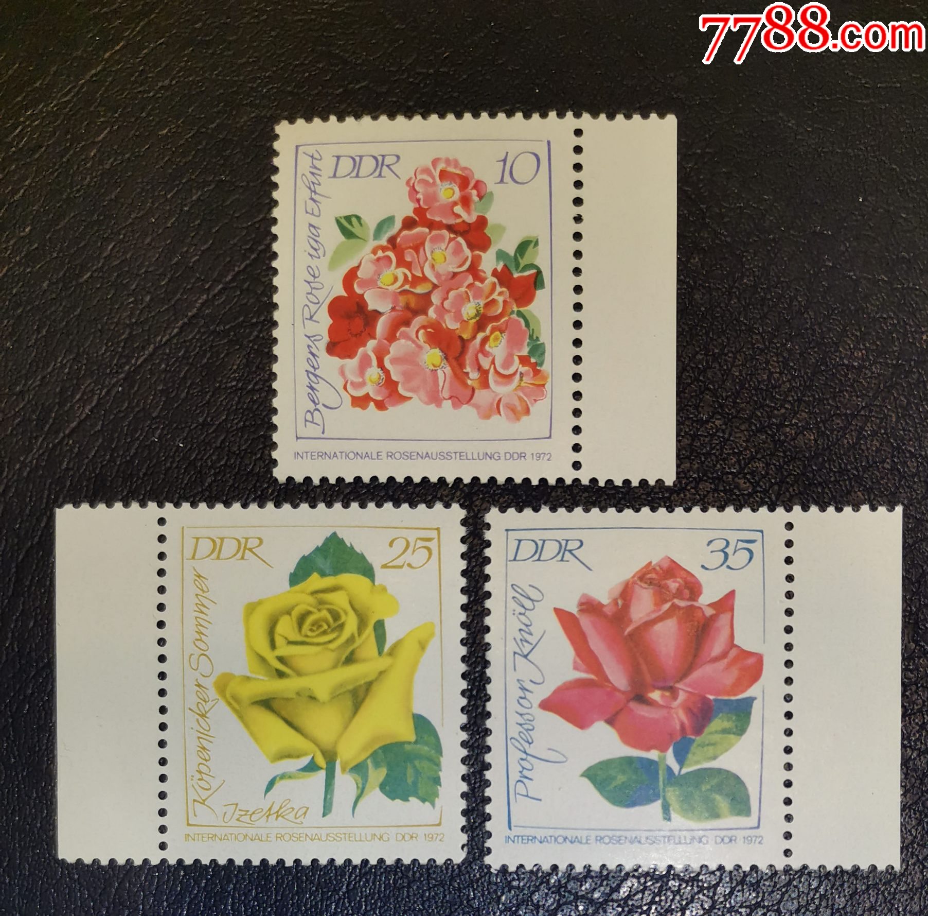 德國(guó)1972年國(guó)際玫瑰花展_價(jià)格3元_第1張_7788收藏__收藏?zé)峋€