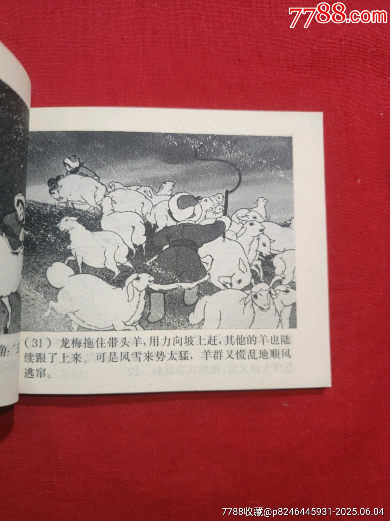 草原英雄小姐妹（動(dòng)畫電影連環(huán)畫）_價(jià)格128元_第11張_7788收藏__收藏?zé)峋€