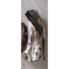32G02J001海南黃花梨樹洞形中空老根料386克??(se107010836)_遼南博雅齋