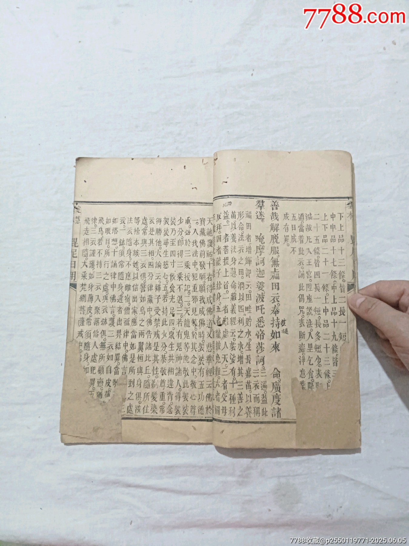 線裝：定慧基本毘尼日用切要，一冊(cè)。_價(jià)格580元_第7張_7788收藏__收藏?zé)峋€