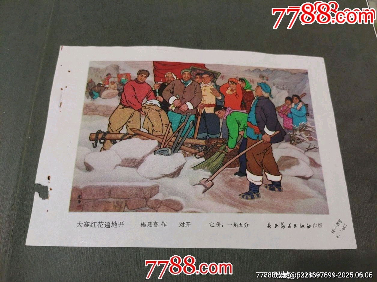 大寨紅花遍地開(kāi)_價(jià)格35元_第1張_7788收藏__收藏?zé)峋€