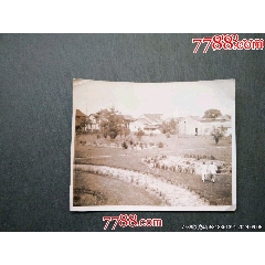 1937年田園風(fēng)光
