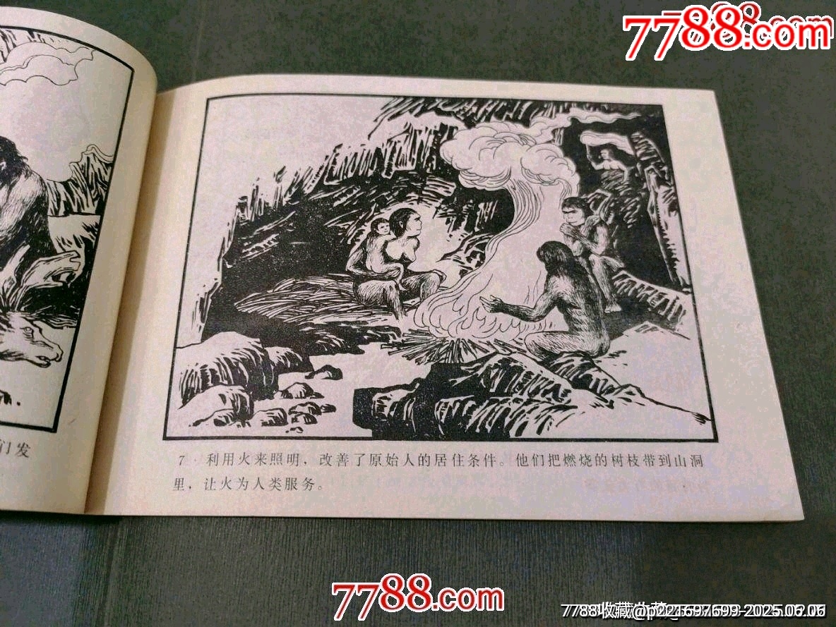 社會(huì)發(fā)展史教學(xué)畫冊_價(jià)格45元_第10張_7788收藏__收藏?zé)峋€