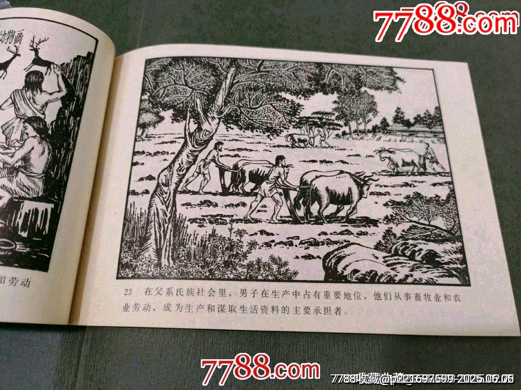 社會(huì)發(fā)展史教學(xué)畫冊_價(jià)格45元_第11張_7788收藏__收藏?zé)峋€