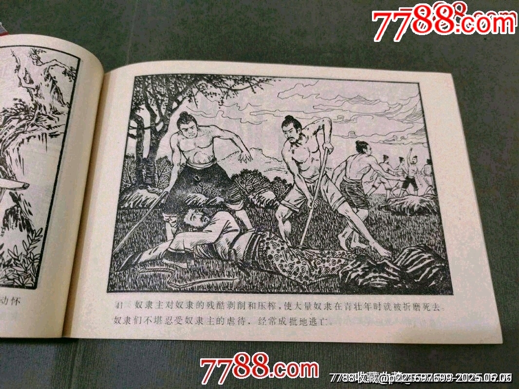 社會(huì)發(fā)展史教學(xué)畫冊_價(jià)格45元_第12張_7788收藏__收藏?zé)峋€