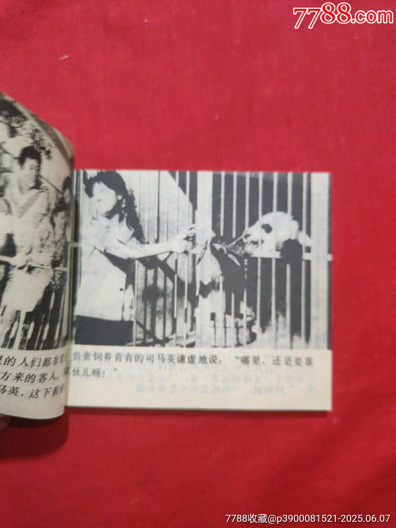熊貓姑娘（電視劇連環(huán)畫）_價格50元_第7張_7788收藏__收藏?zé)峋€