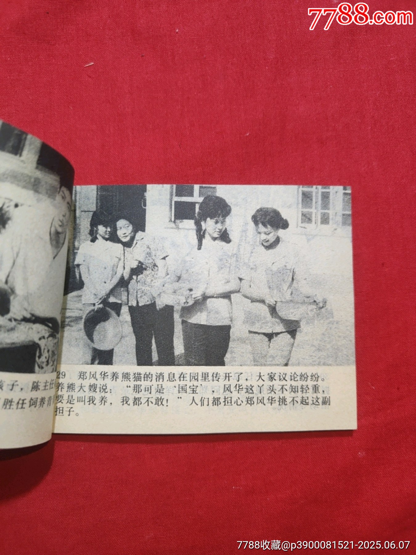 熊貓姑娘（電視劇連環(huán)畫）_價格50元_第10張_7788收藏__收藏?zé)峋€