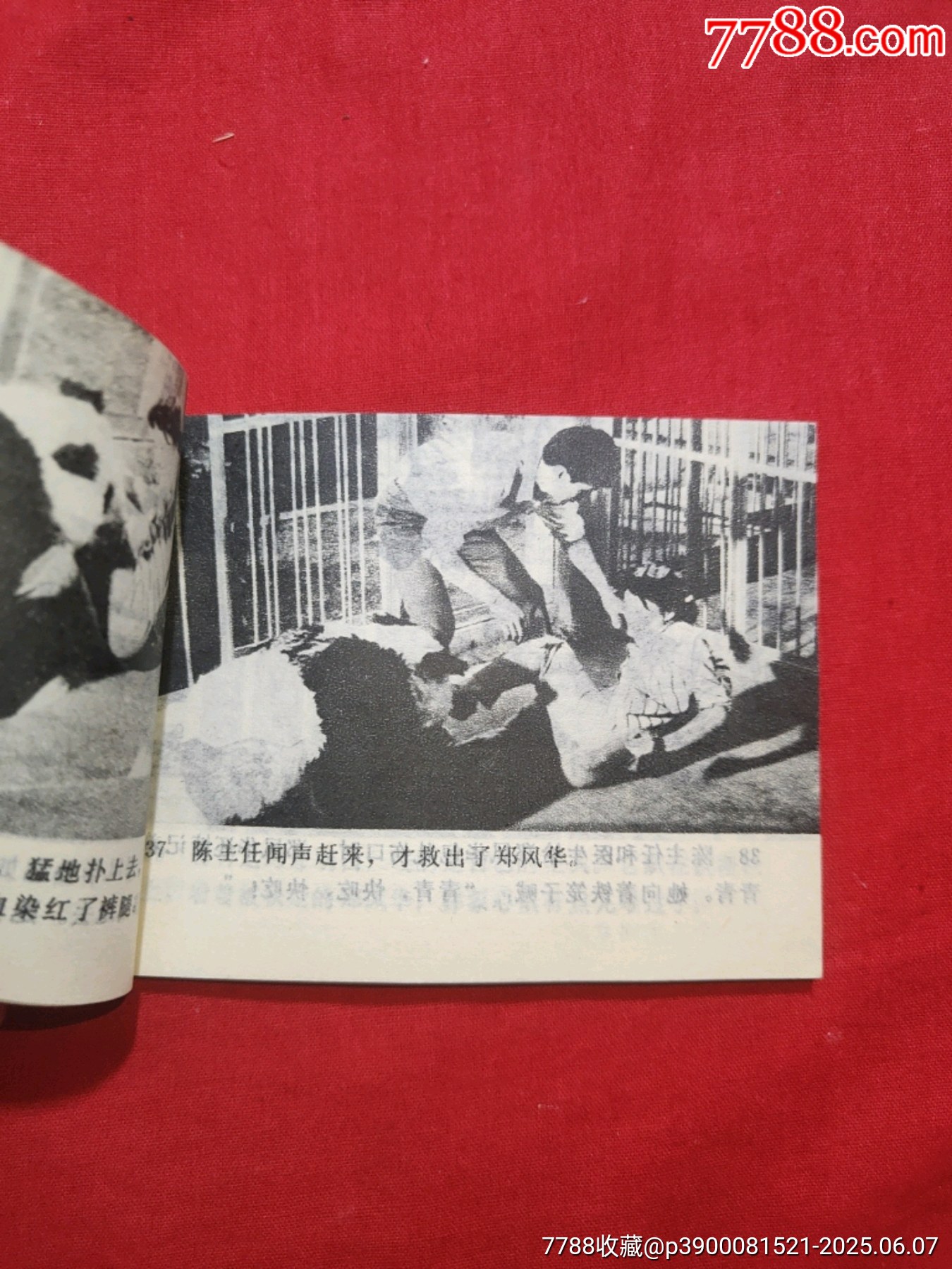 熊貓姑娘（電視劇連環(huán)畫）_價格50元_第11張_7788收藏__收藏?zé)峋€
