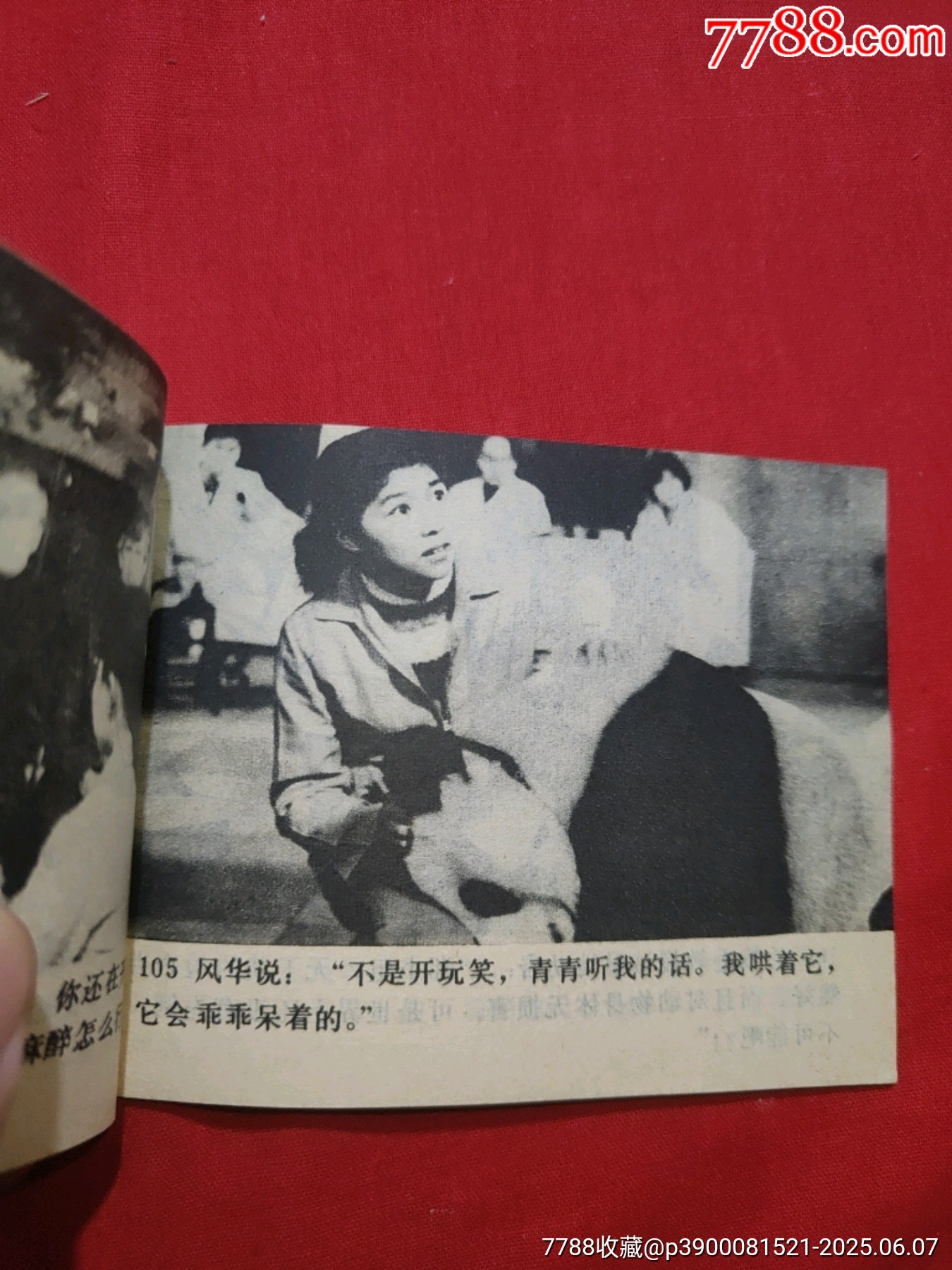 熊貓姑娘（電視劇連環(huán)畫）_價格50元_第16張_7788收藏__收藏?zé)峋€