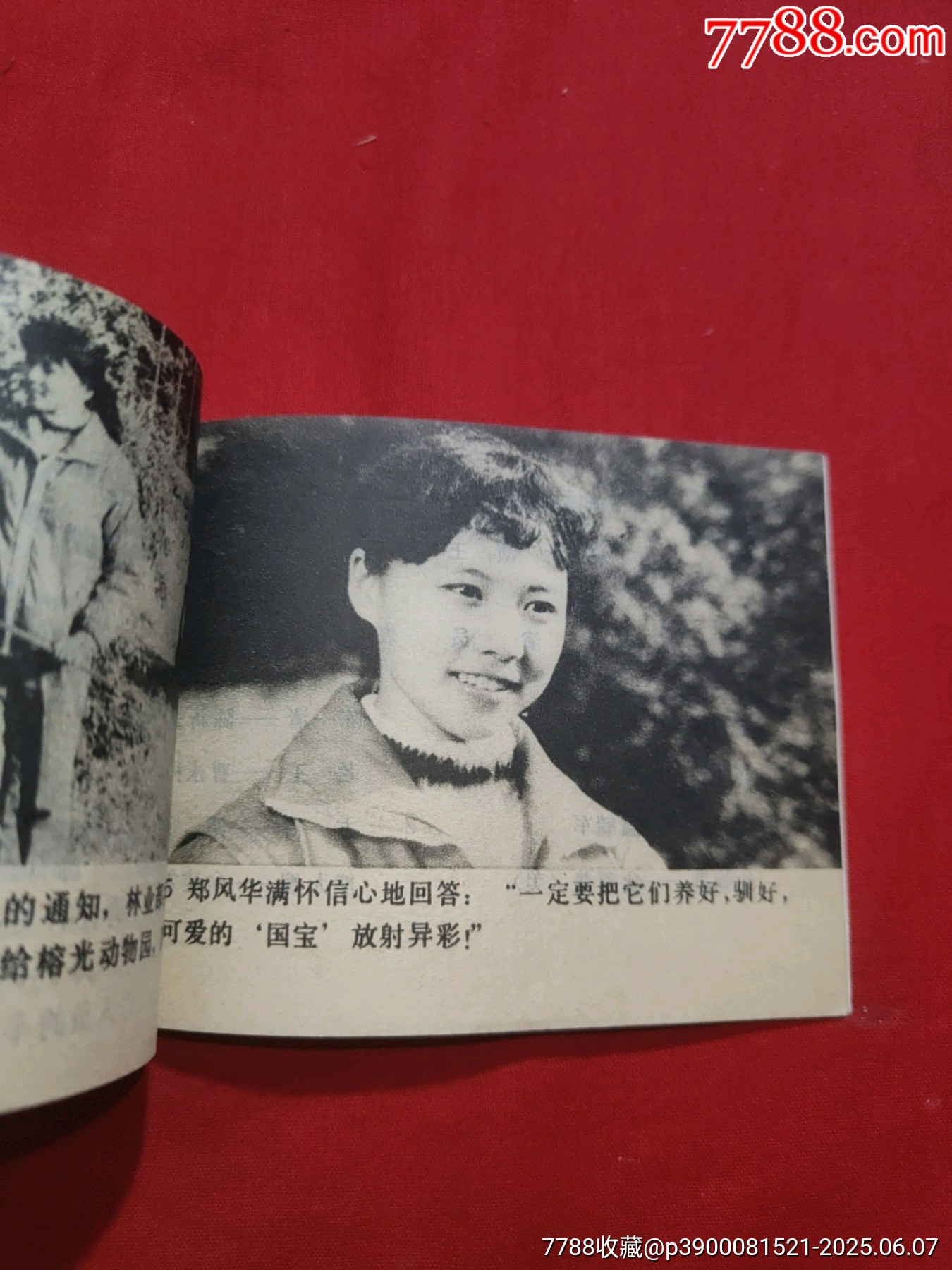 熊貓姑娘（電視劇連環(huán)畫）_價格50元_第17張_7788收藏__收藏?zé)峋€