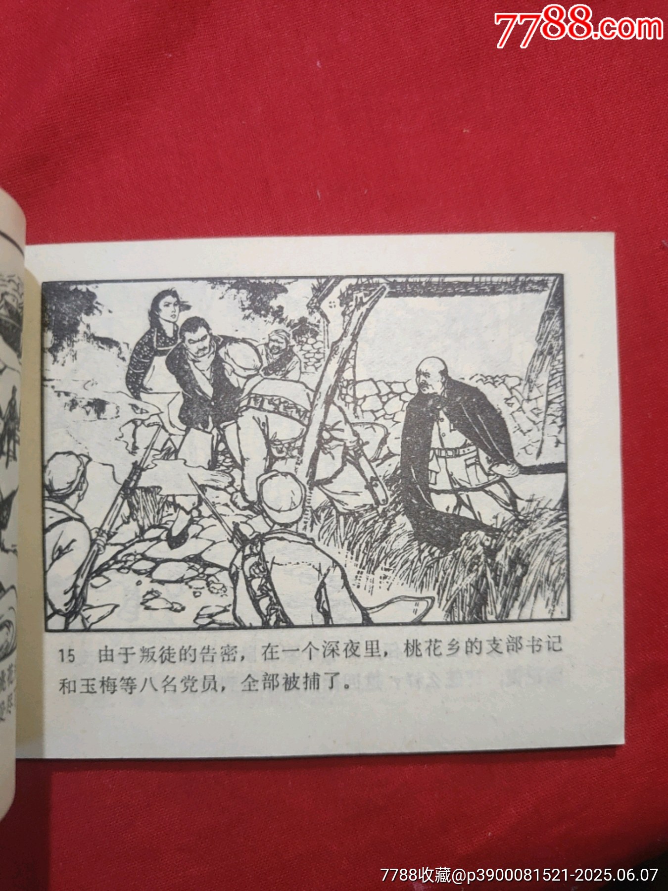 黨的女兒_價格110元_第8張_7788收藏__收藏?zé)峋€