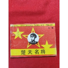 楚天名將（中國上將軍劉震傳奇）