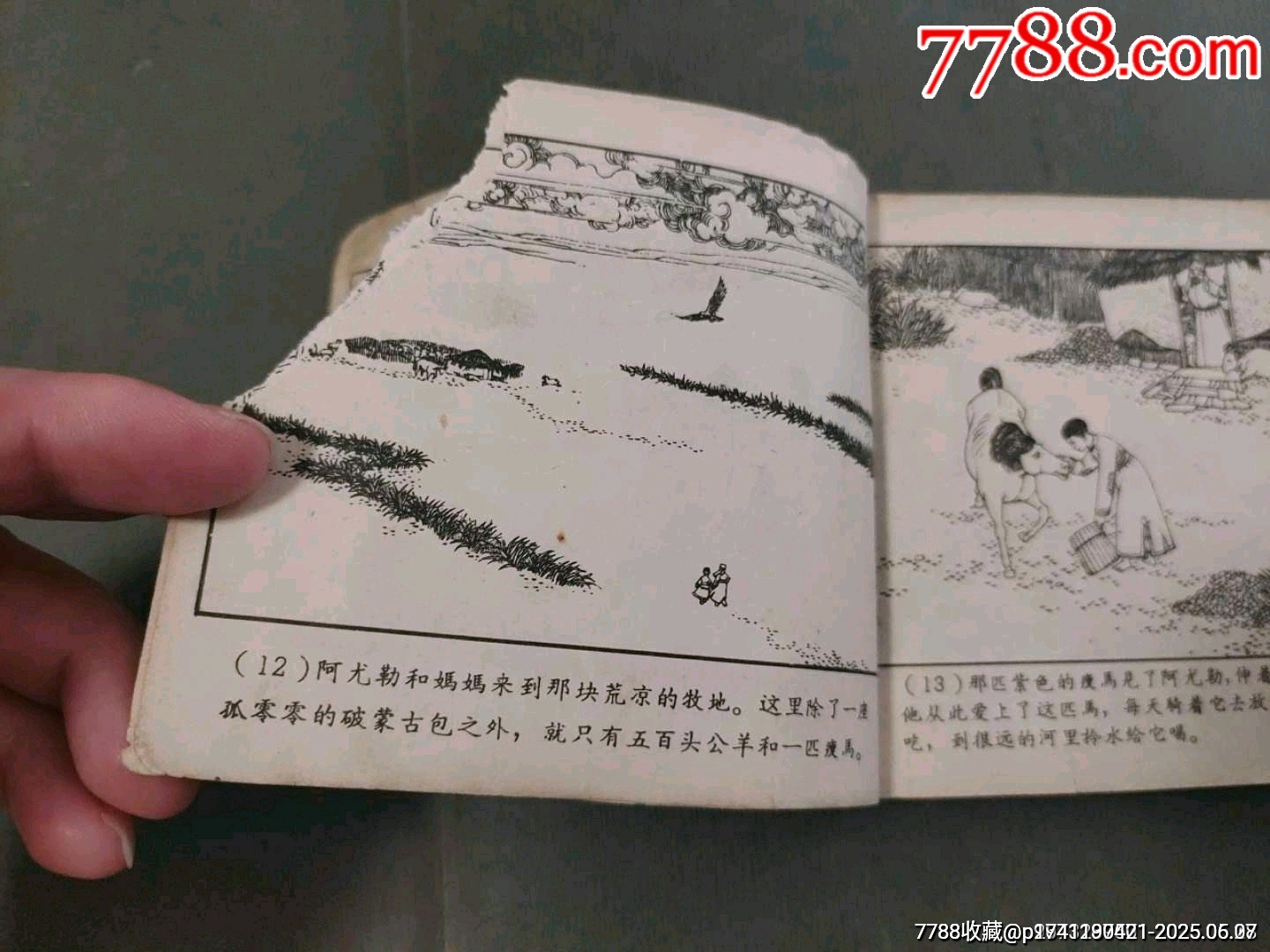 老版——草原的兒子（王亦秋畫）_價(jià)格50元_第13張_7788收藏__收藏?zé)峋€