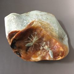 90409J002岫玉精雕螞蟻?一對！_遼南博雅齋