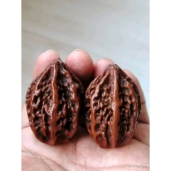 怀柔肌肉蛤蟆头Chinese WenWan Walnut（Toad Head）文玩核桃- 修