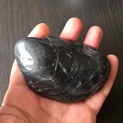80414奇石—一只大海虹！_遼南博雅齋