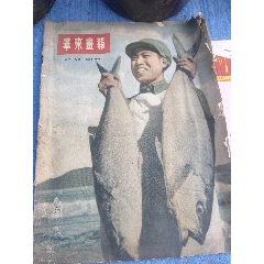 華東畫報(bào)1952年第三十九期(se107254494)_聚鑫院