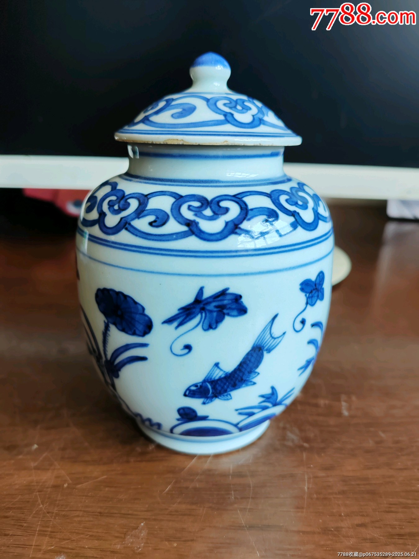 中国 元染 可愛い青花魚藻文蓋缶 Y35-2 中国 元染 可愛い青花魚藻文蓋缶 Y35-2